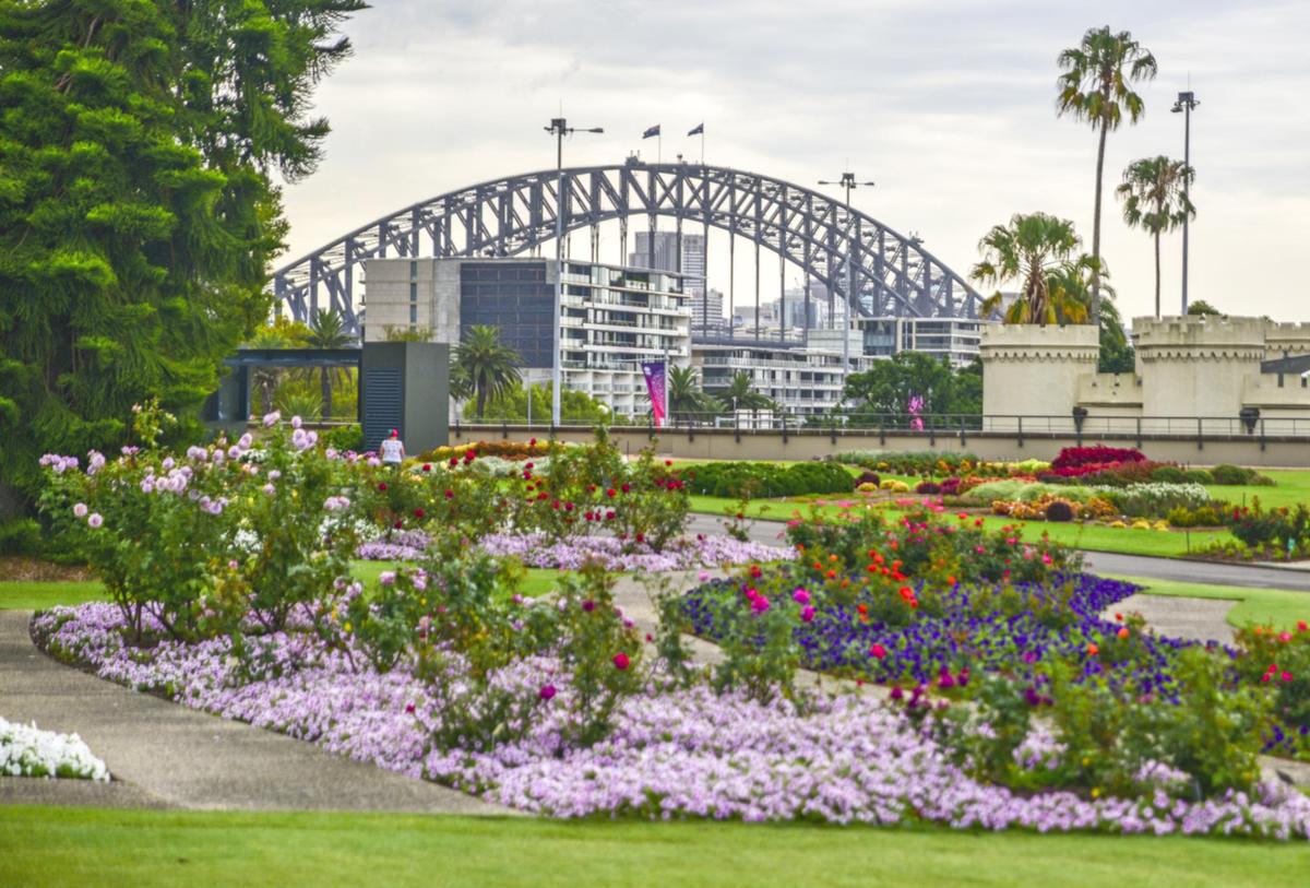 SYDNEY’S BEST GARDENS